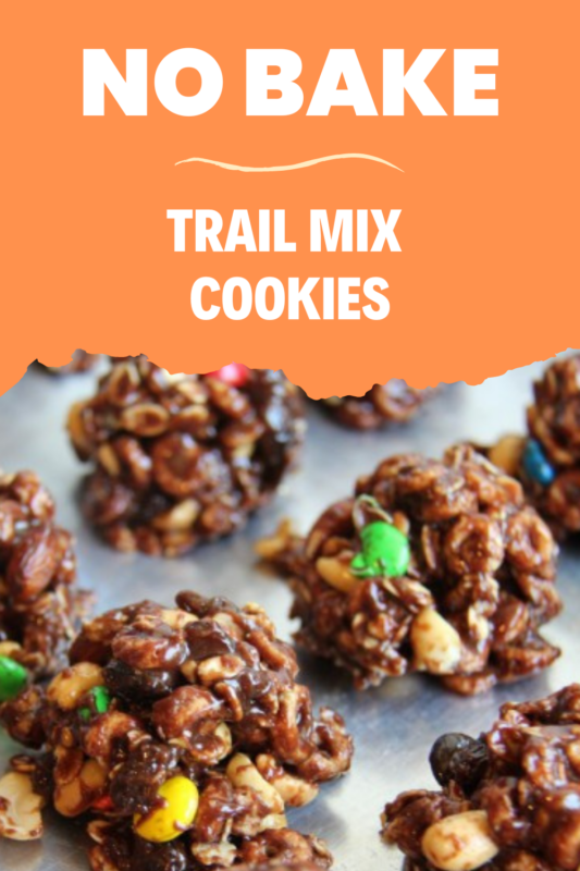Foodieaholic NoBake Trail Mix Cookies Recipe
