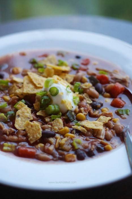 foodieaholic-chicken-tortilla-soup-laurens-latest