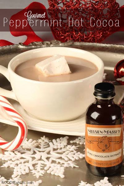 Gourmet Peppermint Hot Cocoa | FOODIEaholic.com #recipe #cooking #beverage #hotchocolate #cocoa #peppermint #gourmet #holiday